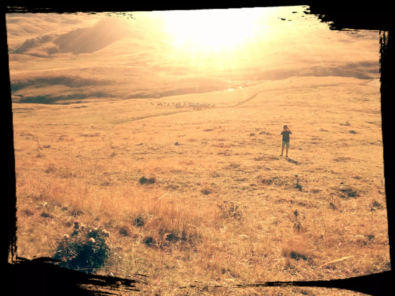 Apocalyptic & Infected Lands Audio Music Pack📱 - изображение 3